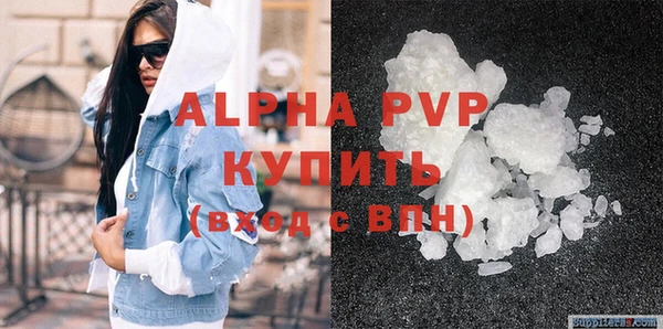 индика Алексин