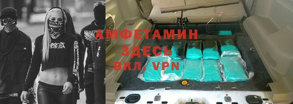 индика Алексин