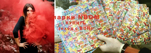 индика Алексин