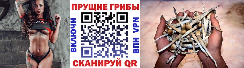 Псилоцибиновые грибы MAGIC MUSHROOMS  Карабаш 